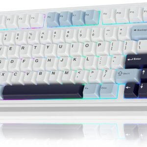 75 Percent Wireless Mechanical Keyboard Hot Swappable Pre Lubed Switches for Smooth Typing